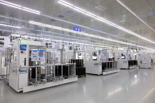 深藍逆襲 登頂全球技術服務之巔