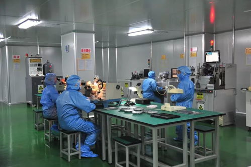 科技賦能，精準服務——延平區以技術創新驅動企業高質量發展